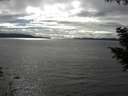 ./images/koeye/fitz-hugh/20200905/fitz-hugh20200905_162502.jpg