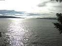 ./images/koeye/fitz-hugh/20200905/fitz-hugh20200905_163502.jpg