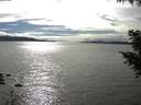 ./images/koeye/fitz-hugh/20200905/fitz-hugh20200905_164002.jpg