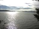 ./images/koeye/fitz-hugh/20200905/fitz-hugh20200905_164502.jpg