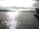 ./images/koeye/fitz-hugh/20200905/fitz-hugh20200905_165002.jpg