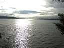 ./images/koeye/fitz-hugh/20200905/fitz-hugh20200905_165501.jpg