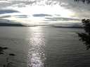 ./images/koeye/fitz-hugh/20200905/fitz-hugh20200905_170501.jpg