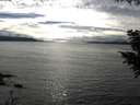 ./images/koeye/fitz-hugh/20200905/fitz-hugh20200905_171001.jpg