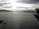 ./images/koeye/fitz-hugh/20200905/fitz-hugh20200905_171501.jpg
