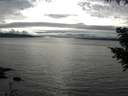 ./images/koeye/fitz-hugh/20200905/fitz-hugh20200905_172501.jpg