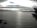 ./images/koeye/fitz-hugh/20200905/fitz-hugh20200905_173501.jpg