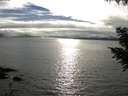 ./images/koeye/fitz-hugh/20200905/fitz-hugh20200905_174001.jpg