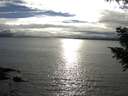 ./images/koeye/fitz-hugh/20200905/fitz-hugh20200905_174501.jpg