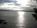 ./images/koeye/fitz-hugh/20200905/fitz-hugh20200905_175001.jpg