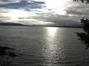 ./images/koeye/fitz-hugh/20200905/fitz-hugh20200905_175501.jpg