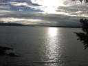 ./images/koeye/fitz-hugh/20200905/fitz-hugh20200905_180001.jpg