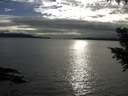 ./images/koeye/fitz-hugh/20200905/fitz-hugh20200905_180501.jpg