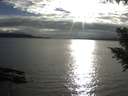./images/koeye/fitz-hugh/20200905/fitz-hugh20200905_181001.jpg