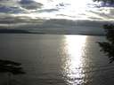 ./images/koeye/fitz-hugh/20200905/fitz-hugh20200905_181501.jpg