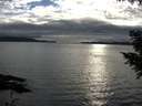 ./images/koeye/fitz-hugh/20200905/fitz-hugh20200905_182001.jpg