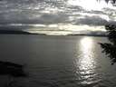 ./images/koeye/fitz-hugh/20200905/fitz-hugh20200905_183501.jpg