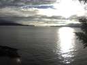 ./images/koeye/fitz-hugh/20200905/fitz-hugh20200905_184001.jpg