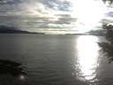 ./images/koeye/fitz-hugh/20200905/fitz-hugh20200905_184501.jpg