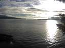 ./images/koeye/fitz-hugh/20200905/fitz-hugh20200905_185002.jpg
