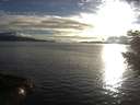 ./images/koeye/fitz-hugh/20200905/fitz-hugh20200905_185502.jpg