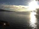 ./images/koeye/fitz-hugh/20200905/fitz-hugh20200905_190502.jpg