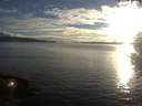 ./images/koeye/fitz-hugh/20200905/fitz-hugh20200905_191502.jpg