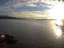 ./images/koeye/fitz-hugh/20200905/fitz-hugh20200905_192502.jpg