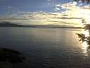 ./images/koeye/fitz-hugh/20200905/fitz-hugh20200905_193502.jpg