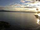./images/koeye/fitz-hugh/20200905/fitz-hugh20200905_194002.jpg