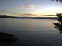 ./images/koeye/fitz-hugh/20200905/fitz-hugh20200905_195501.jpg