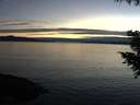 ./images/koeye/fitz-hugh/20200905/fitz-hugh20200905_202501.jpg
