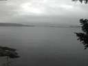./images/koeye/fitz-hugh/20200906/fitz-hugh20200906_061502.jpg