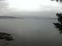 ./images/koeye/fitz-hugh/20200906/fitz-hugh20200906_062002.jpg