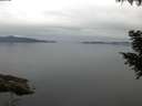 ./images/koeye/fitz-hugh/20200906/fitz-hugh20200906_064502.jpg