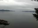 ./images/koeye/fitz-hugh/20200906/fitz-hugh20200906_065502.jpg