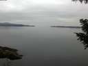 ./images/koeye/fitz-hugh/20200906/fitz-hugh20200906_070502.jpg