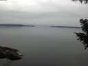 ./images/koeye/fitz-hugh/20200906/fitz-hugh20200906_071502.jpg