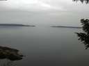 ./images/koeye/fitz-hugh/20200906/fitz-hugh20200906_072002.jpg