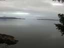 ./images/koeye/fitz-hugh/20200906/fitz-hugh20200906_075001.jpg