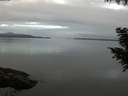 ./images/koeye/fitz-hugh/20200906/fitz-hugh20200906_075501.jpg