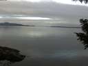 ./images/koeye/fitz-hugh/20200906/fitz-hugh20200906_080001.jpg