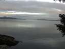 ./images/koeye/fitz-hugh/20200906/fitz-hugh20200906_080501.jpg