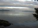 ./images/koeye/fitz-hugh/20200906/fitz-hugh20200906_081001.jpg