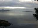 ./images/koeye/fitz-hugh/20200906/fitz-hugh20200906_081501.jpg