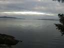 ./images/koeye/fitz-hugh/20200906/fitz-hugh20200906_082501.jpg