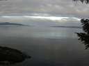 ./images/koeye/fitz-hugh/20200906/fitz-hugh20200906_083501.jpg