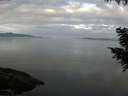 ./images/koeye/fitz-hugh/20200906/fitz-hugh20200906_084501.jpg