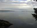 ./images/koeye/fitz-hugh/20200906/fitz-hugh20200906_090501.jpg
