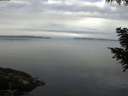 ./images/koeye/fitz-hugh/20200906/fitz-hugh20200906_091002.jpg